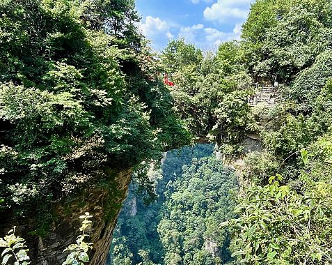 il Bridge n.1 - foto Blue Lama