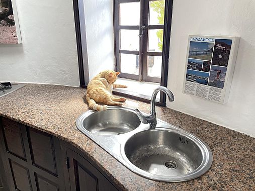 Lagomar - foto Blue Lama